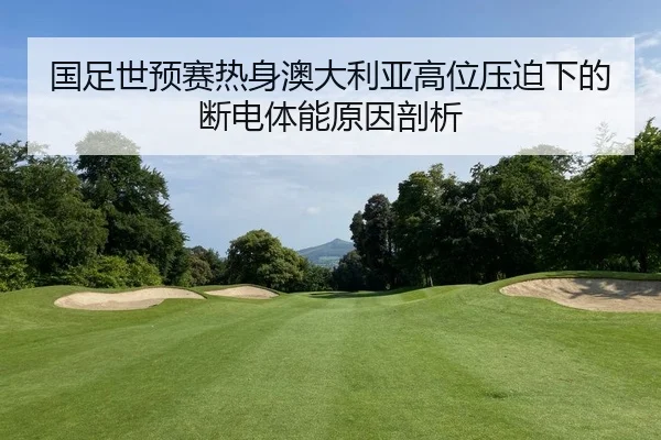 guo-zu-shi-yu-sai-re-shen-ao-da-li-ya-gao-wei-ya-po-xia-de-duan-dian-ti-neng-yuan-yin-pou-xi-2-863.jpg